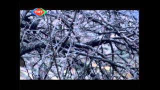 SIR – Feridüddin Attâr Hazretleri