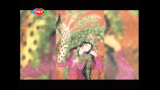 SIR – Ziyâeddin Nahşebi Hazretleri