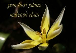 MUHARREM AYI VE FAZİLETİ