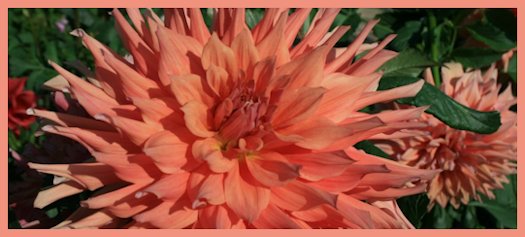 Hayırlı bir gün – 01-08-2017