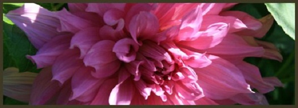 Hayırlı bir gün – 17-10-2017