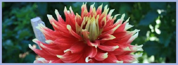 Hayırlı bir gün – 25-10-2017