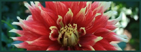 Hayırlı bir gün – 26-10-2017