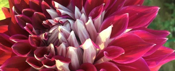 Hayırlı bir gün – 09-09-2019