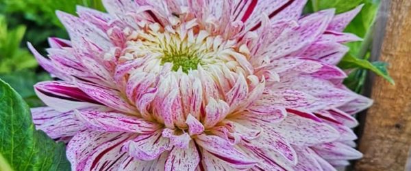 Hayırlı bir gün – 04-05-2020