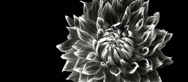 Hayırlı bir gün – 30-07-2021